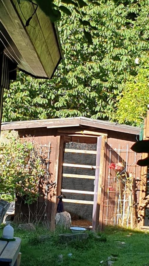 Ferienhaus Nr. 60 Im Ferienpark Am Twistesee バート・アロルゼン エクステリア 写真